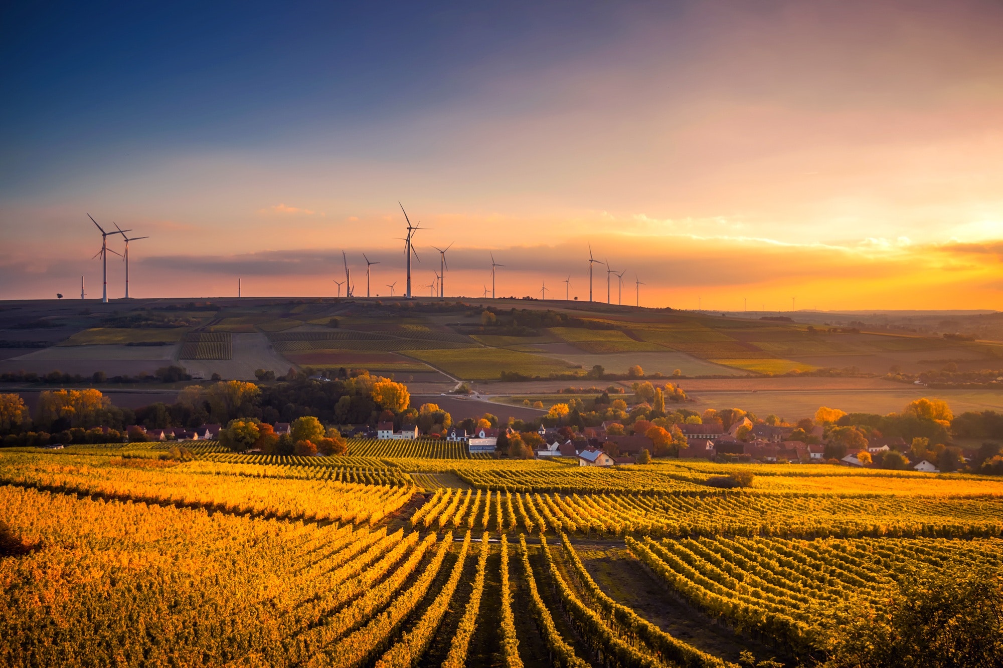 Windpark bei Sonnenuntergang